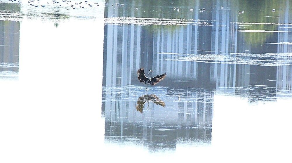 Photograph by Николай Горбачёв