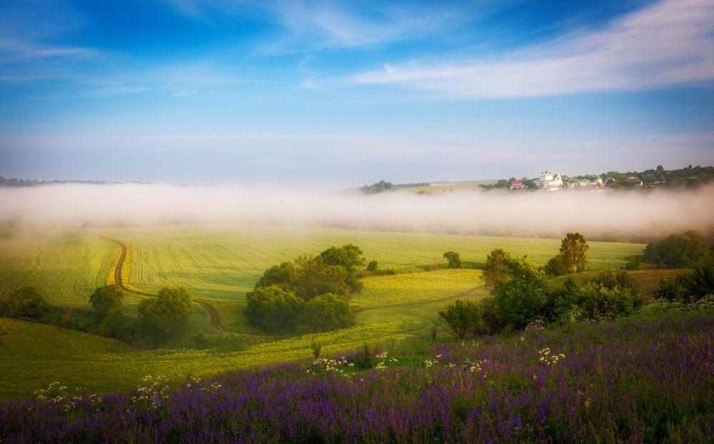 Photograph by Артём Парамонов