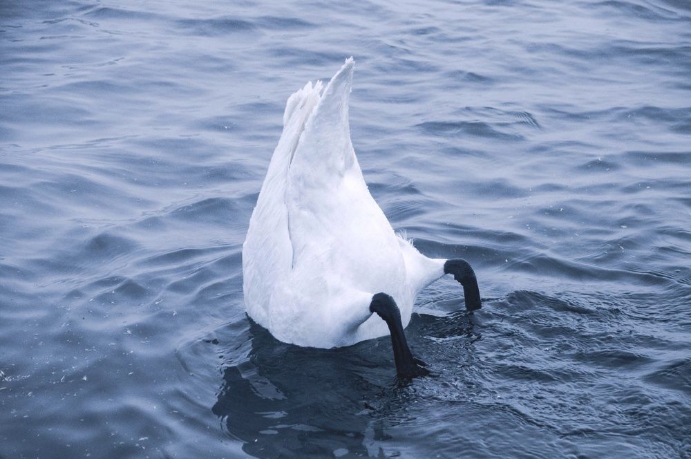 Photograph by Andrey