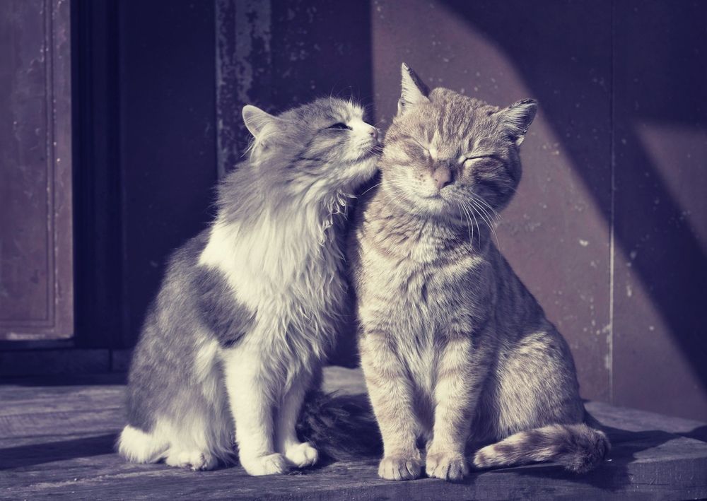 Photograph by Andrey