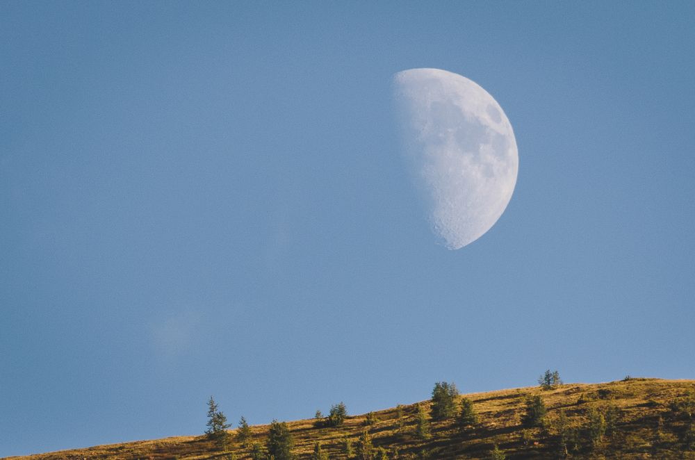 Photograph by Наталья Сафонова