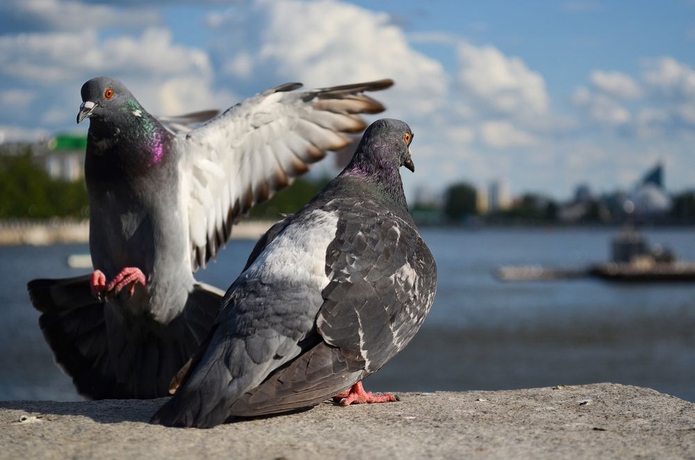 Photograph by Екатерина Абросова