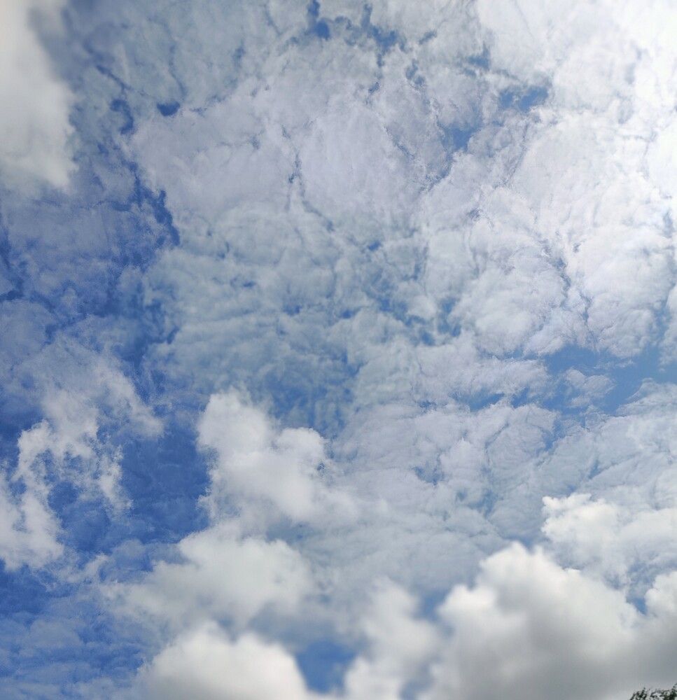 Photograph by Наталья Билай