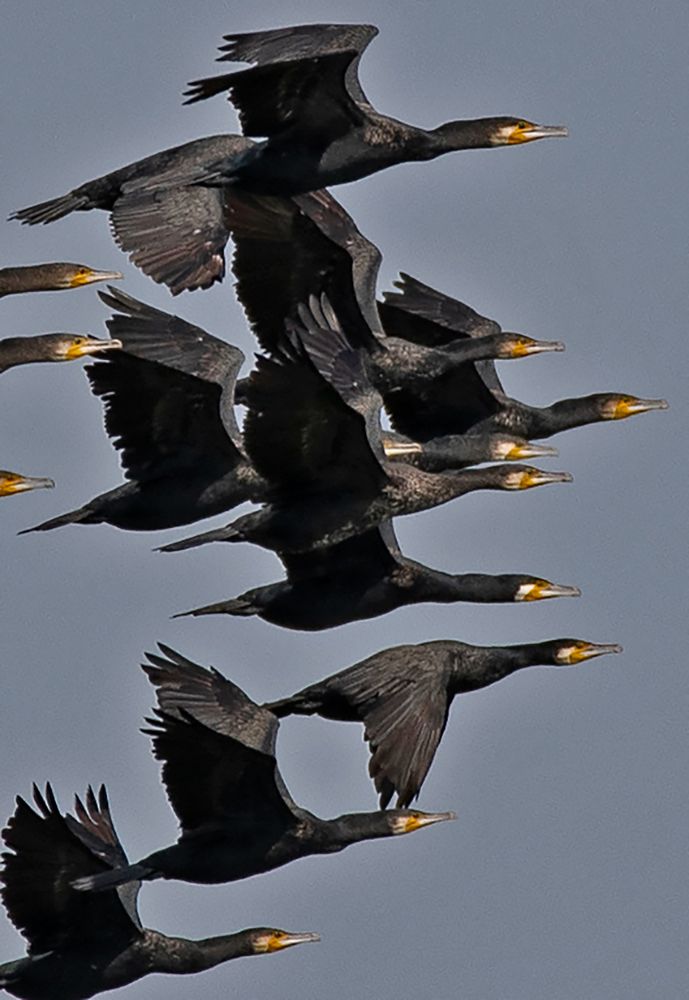 Photograph by Gurdina Lena