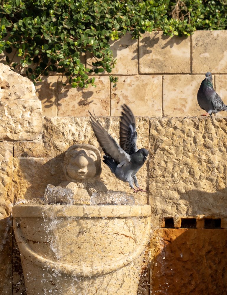 Photograph by Igor Shulkin