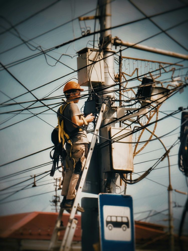 Photograph by Алена Самошина