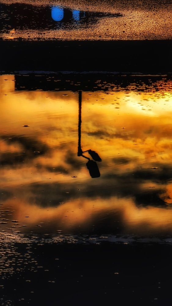 Photograph by Алена Самошина