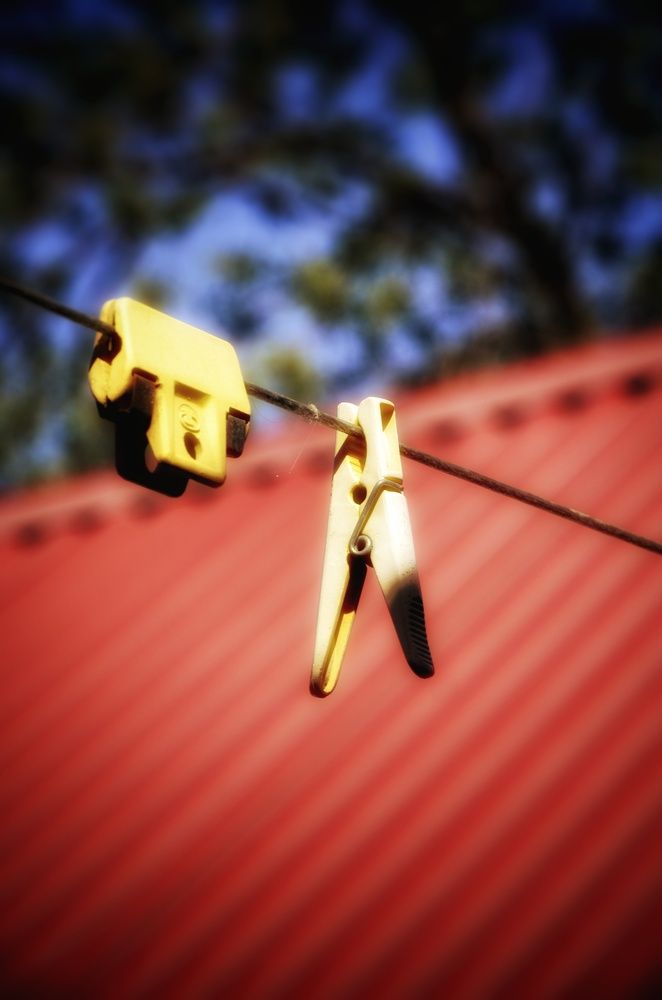 Photograph by Алена Самошина