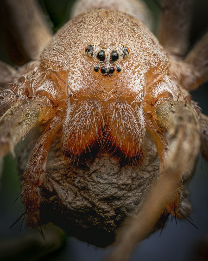 Photograph by Matheus Gregório