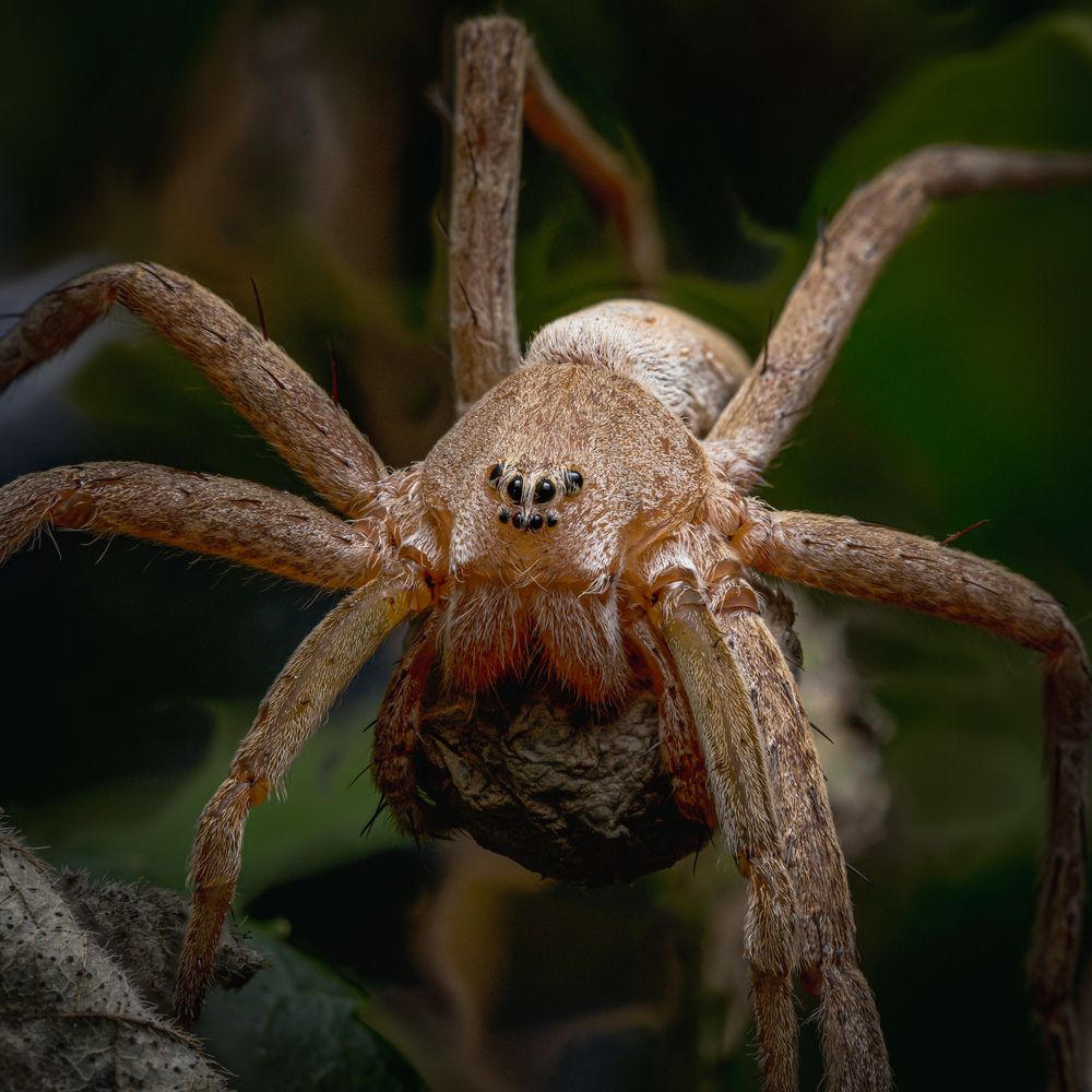 Photograph by Matheus Gregório