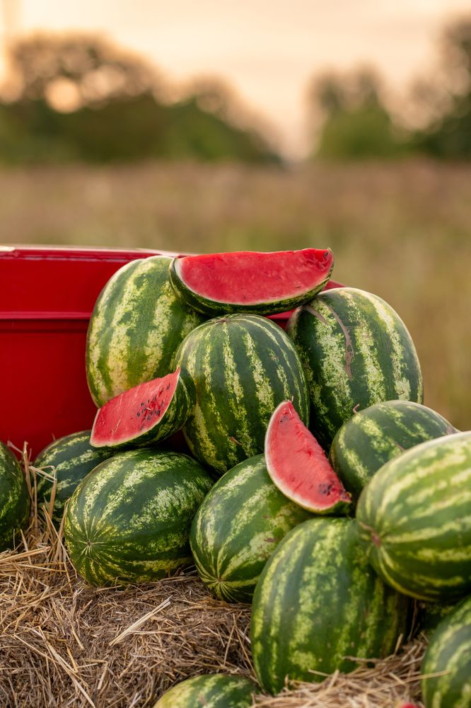 Photograph by Зверева Мария