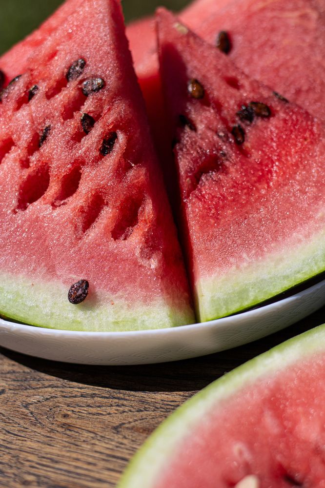 Photograph by Елена Буркина