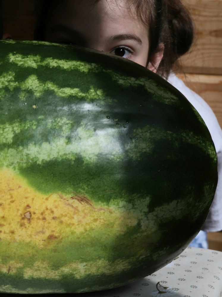 Photograph by Елена Тимченко