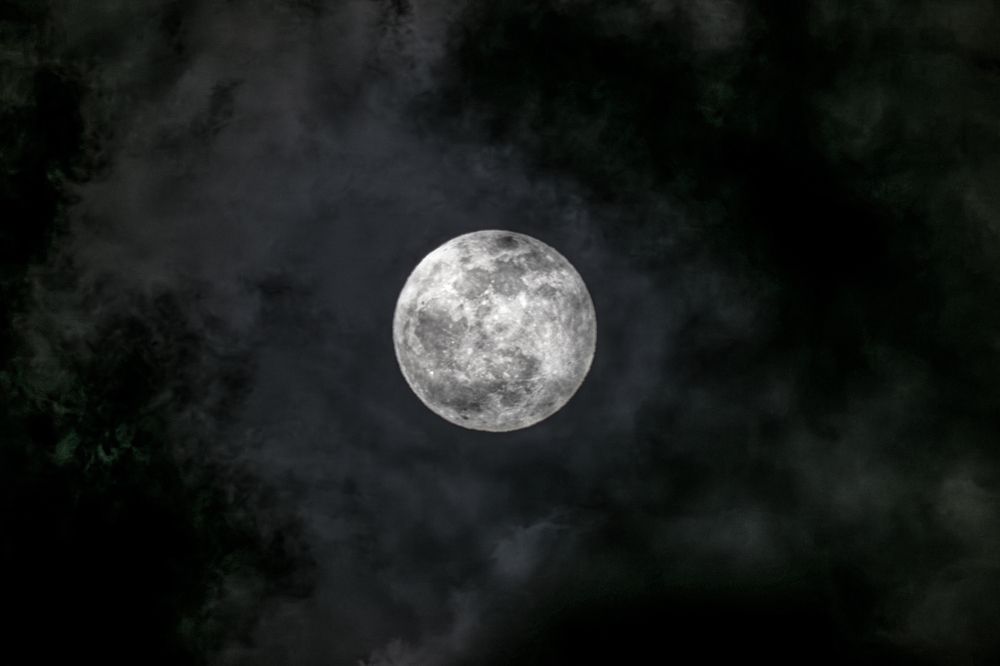 Photograph by kamel draa