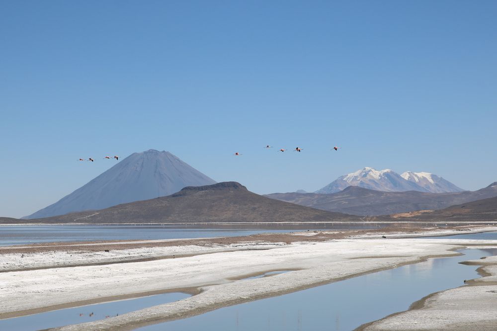 Photo #12457162