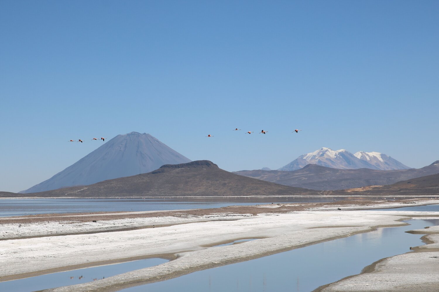 Photo #12457162