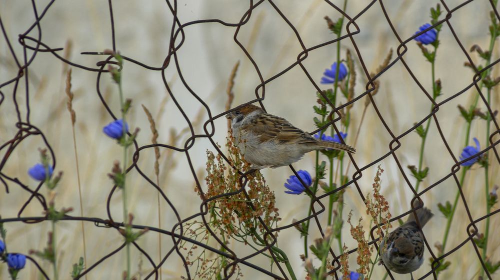 Фотография автора Сергей Кравцов