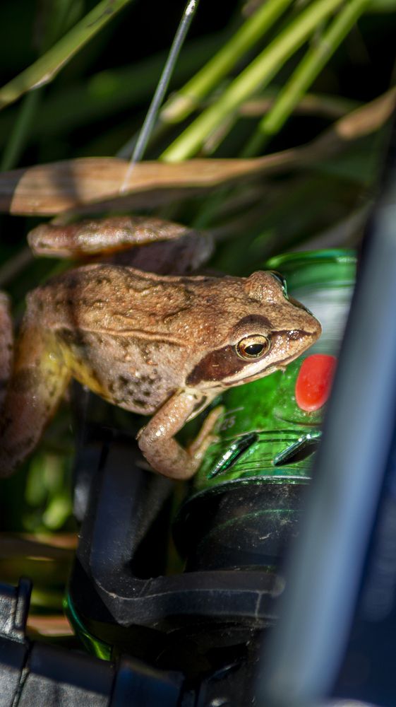 Фотография автора Сергей Кравцов