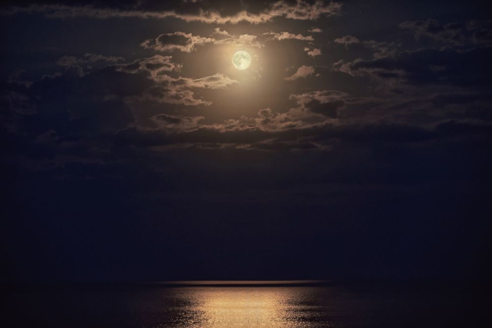 Photograph by Оксана Пономаренко