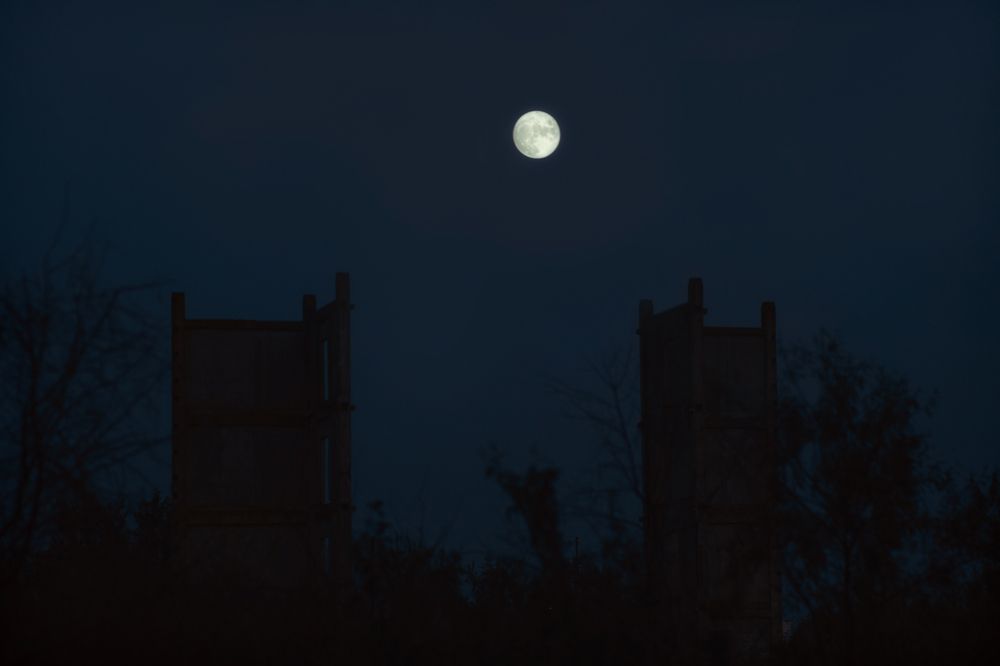 Photograph by Оксана Пономаренко