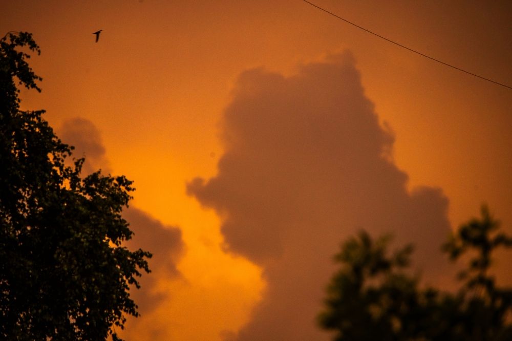 Photograph by Евгений Николаенков