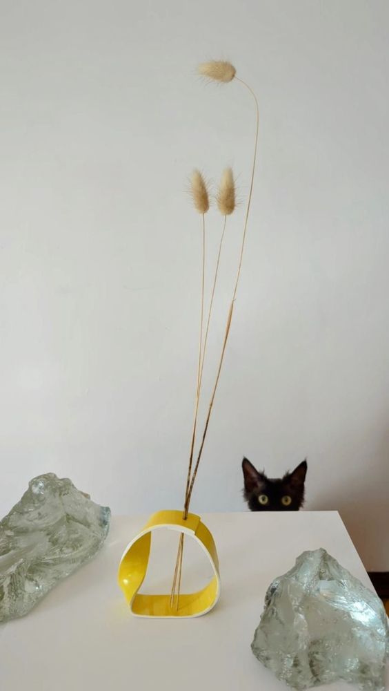 Photograph by Светлана