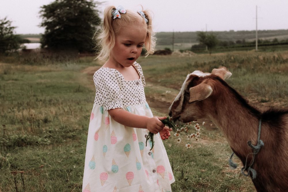 Photograph by Валентина Сабий