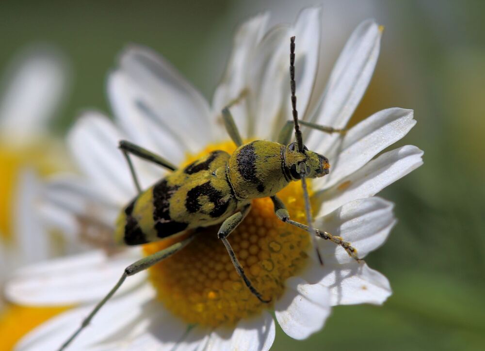 Photograph by Юрий Варюхин