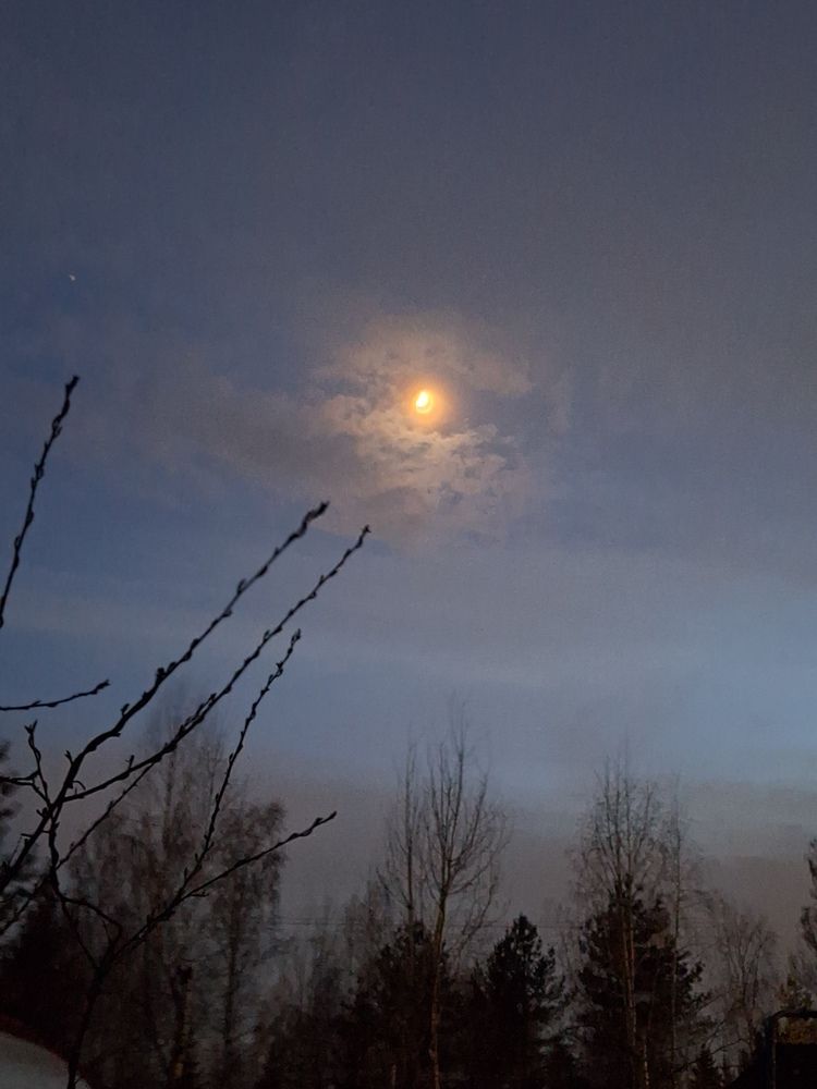 Photograph by Ольга Мольдон