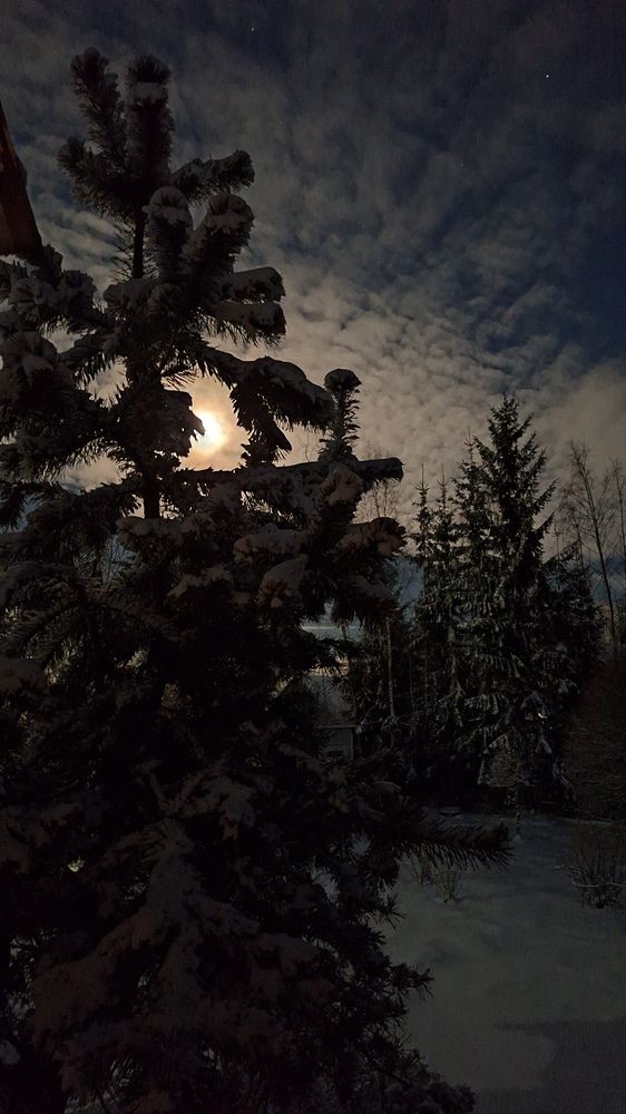 Photograph by Ольга Мольдон