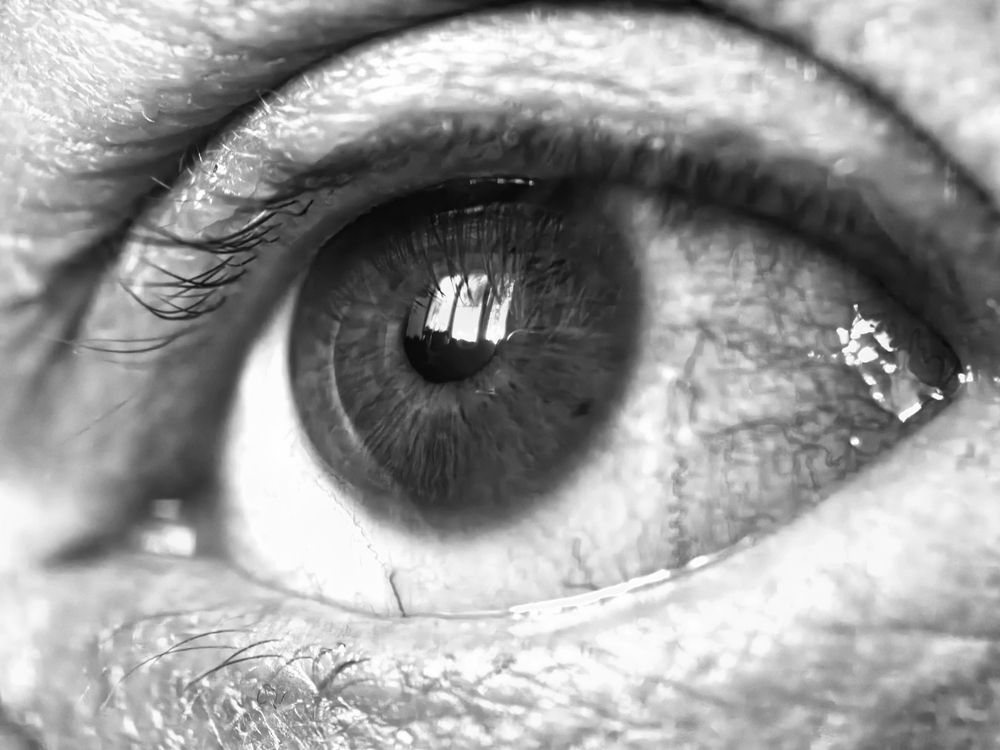 Фотография автора Валерий Цуркан