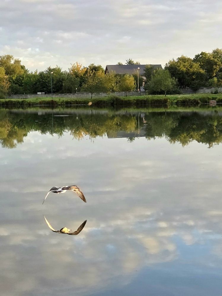 Фотография автора Elena Polonetskaya