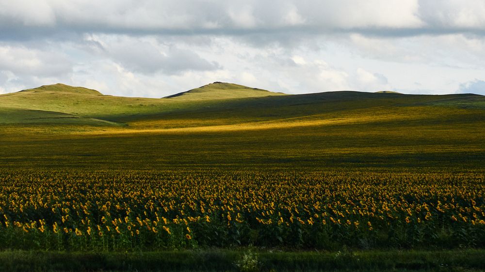 Photograph by Павел Серых