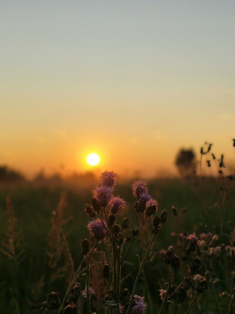 Photograph by Галина Бессуднова