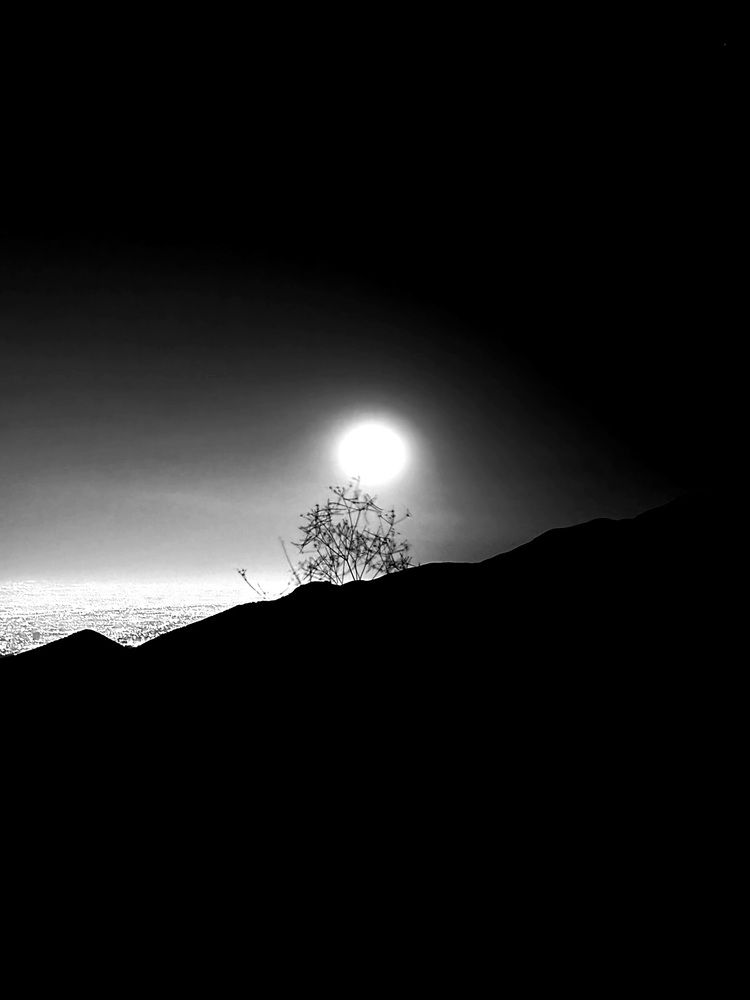 Photograph by Sam Esfahani