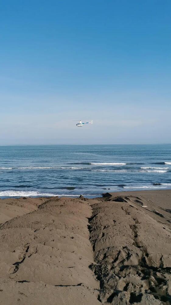 Фотография автора Закурина Маргарита