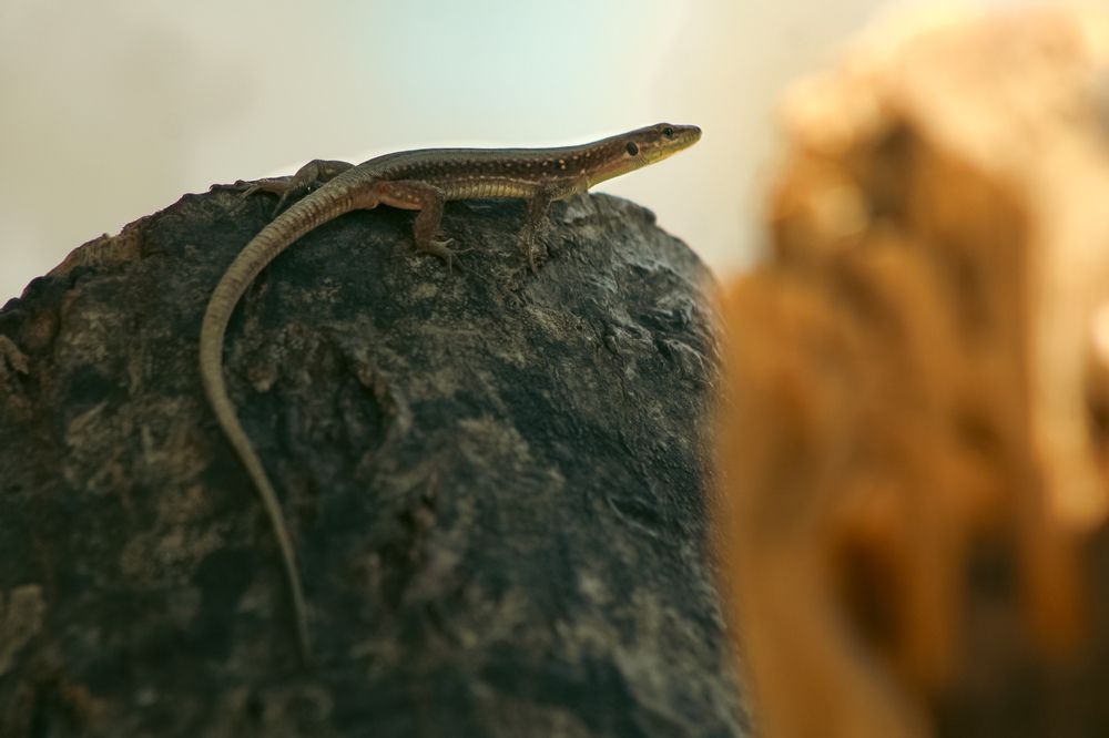 Photograph by Диана Ларукова