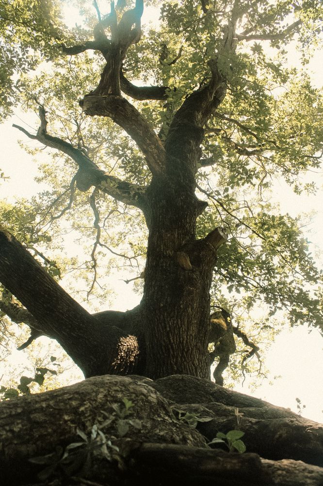Photograph by Диана Ларукова
