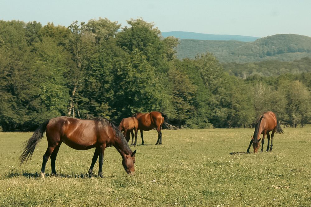 Photograph by Диана Ларукова