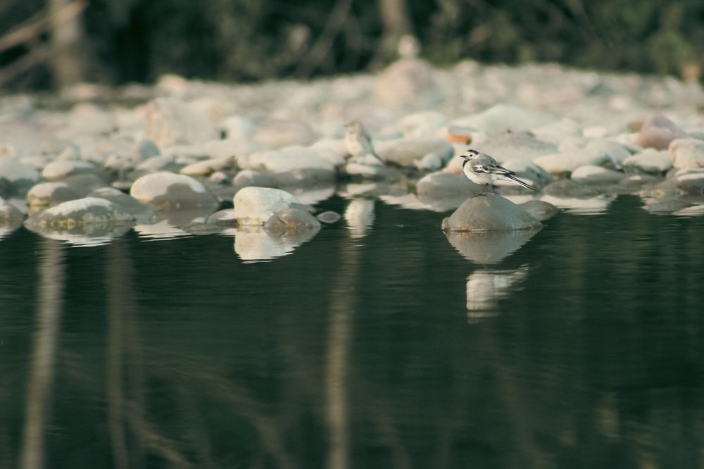 Photograph by Диана Ларукова