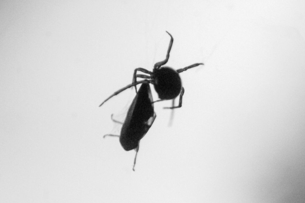 Photograph by Диана Ларукова