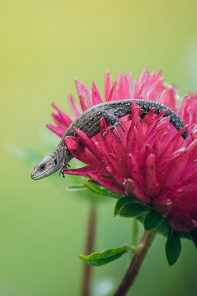 Photograph by Сергей Белокуров