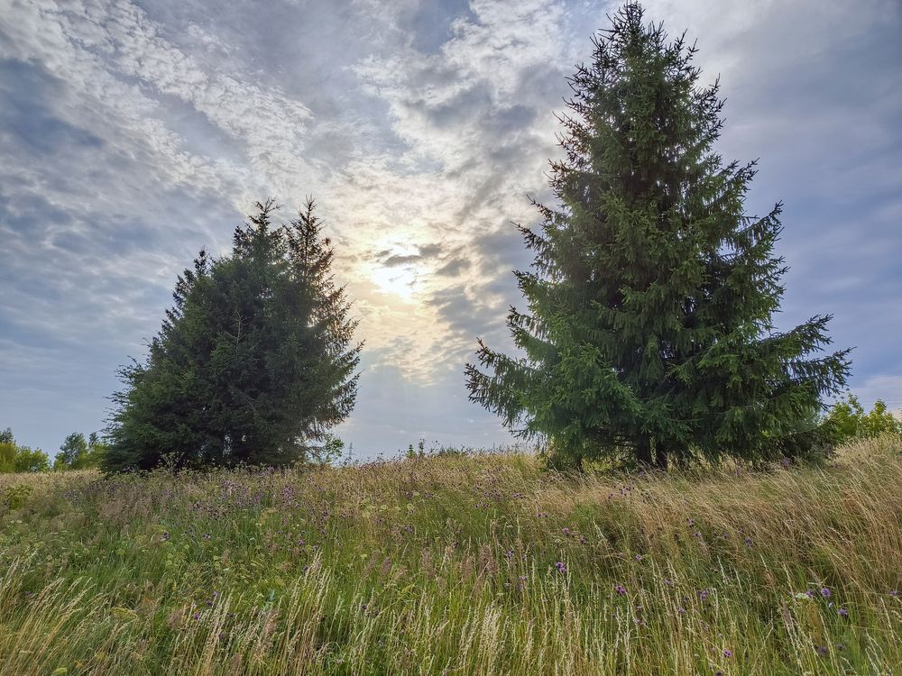 Photograph by Николай Шаповалов