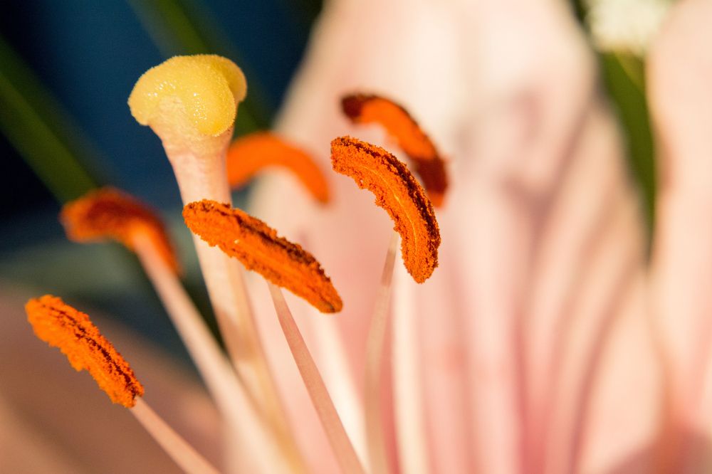 Photograph by Дмитрий Шулаков