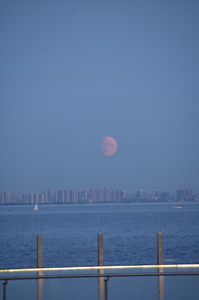 Photograph by Elvira