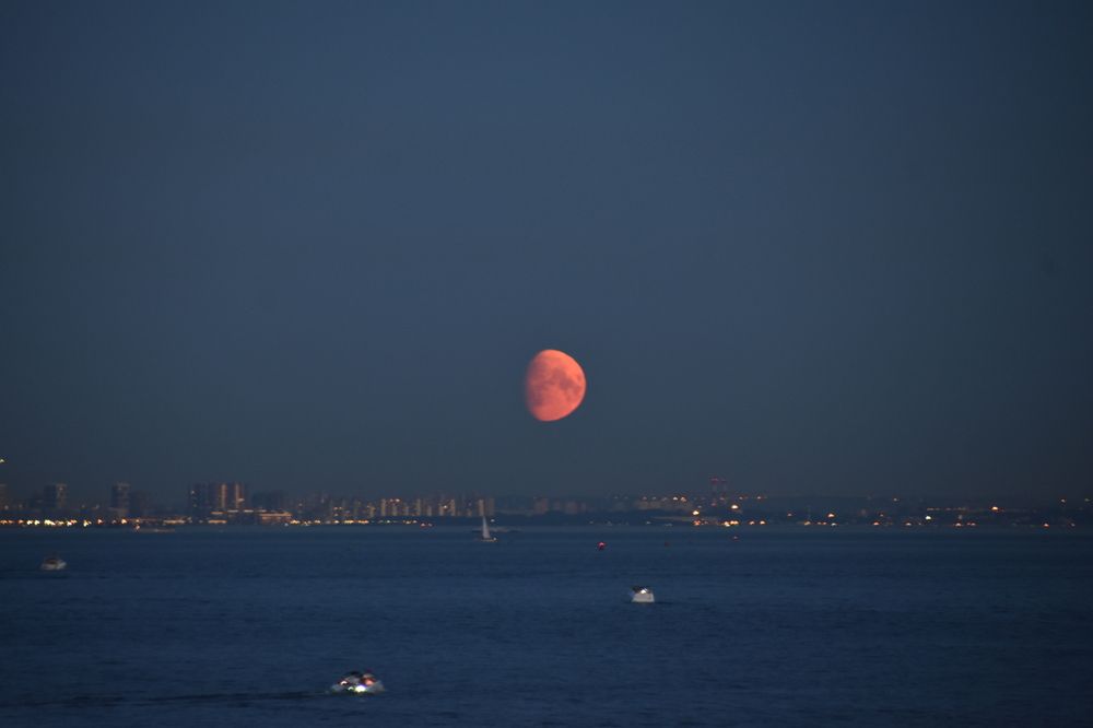 Photograph by Elvira