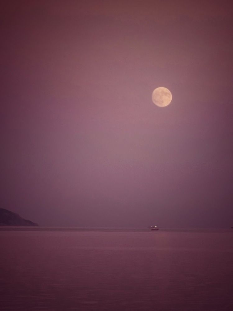 Photograph by Яна Сел