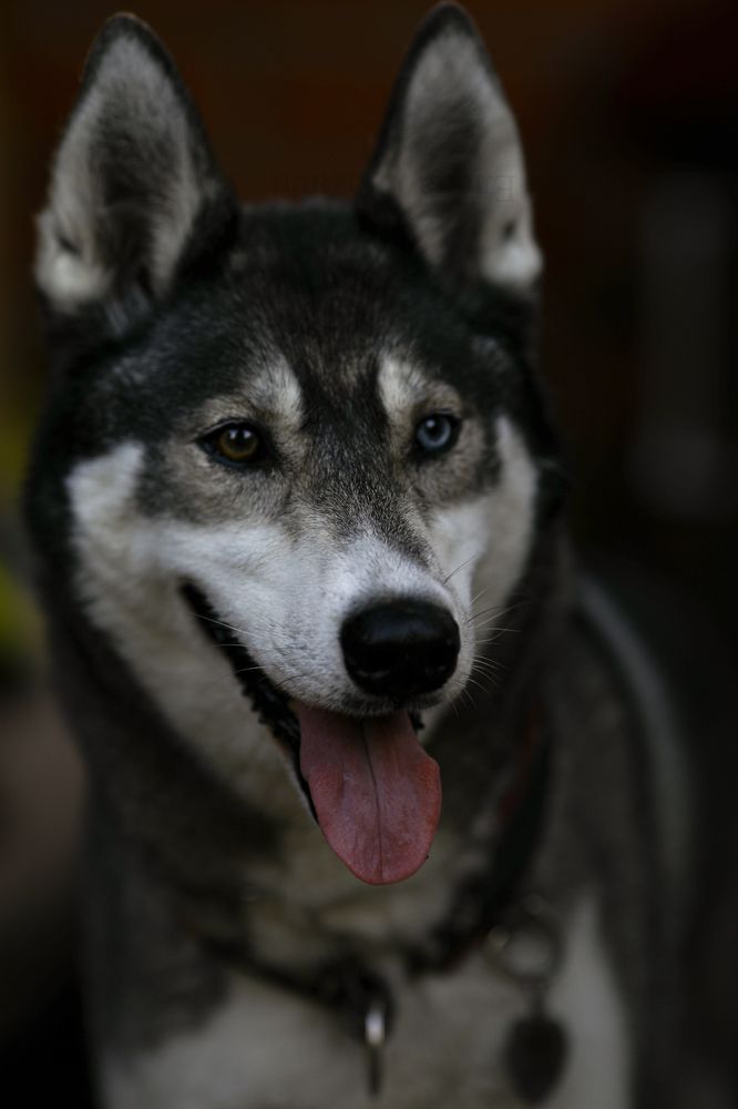 Photograph by Елена Одынец
