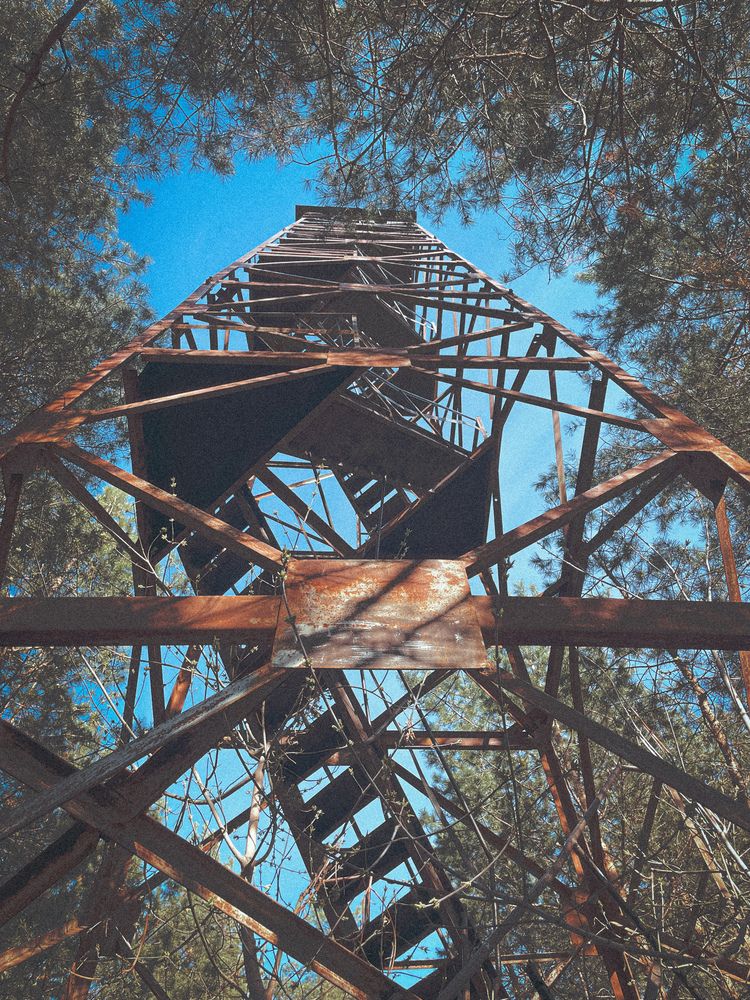 Photograph by Nadya Sterligova