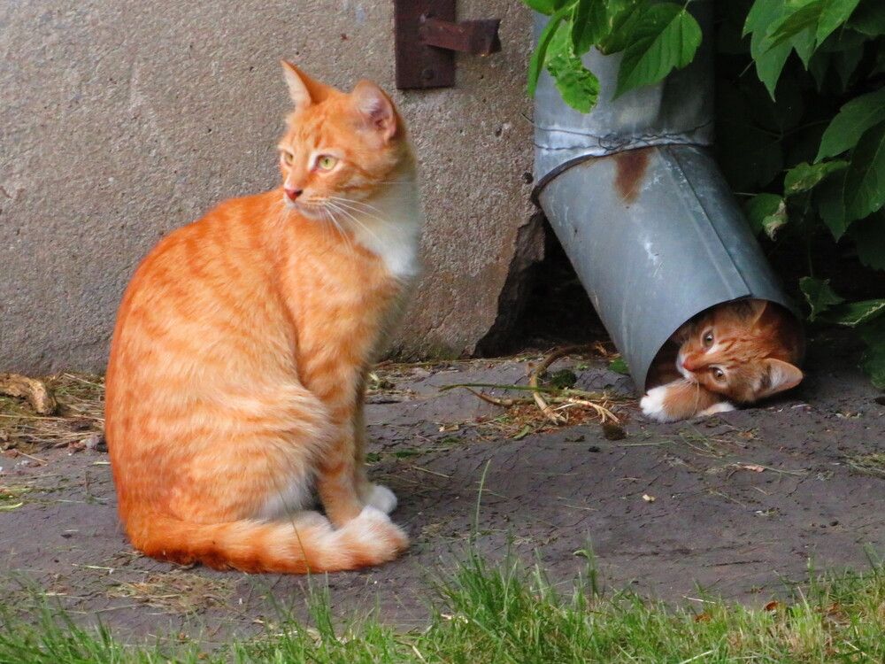 Выбираясь к маме